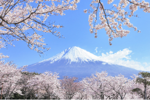 宿泊施設が外国語対応すべき理由