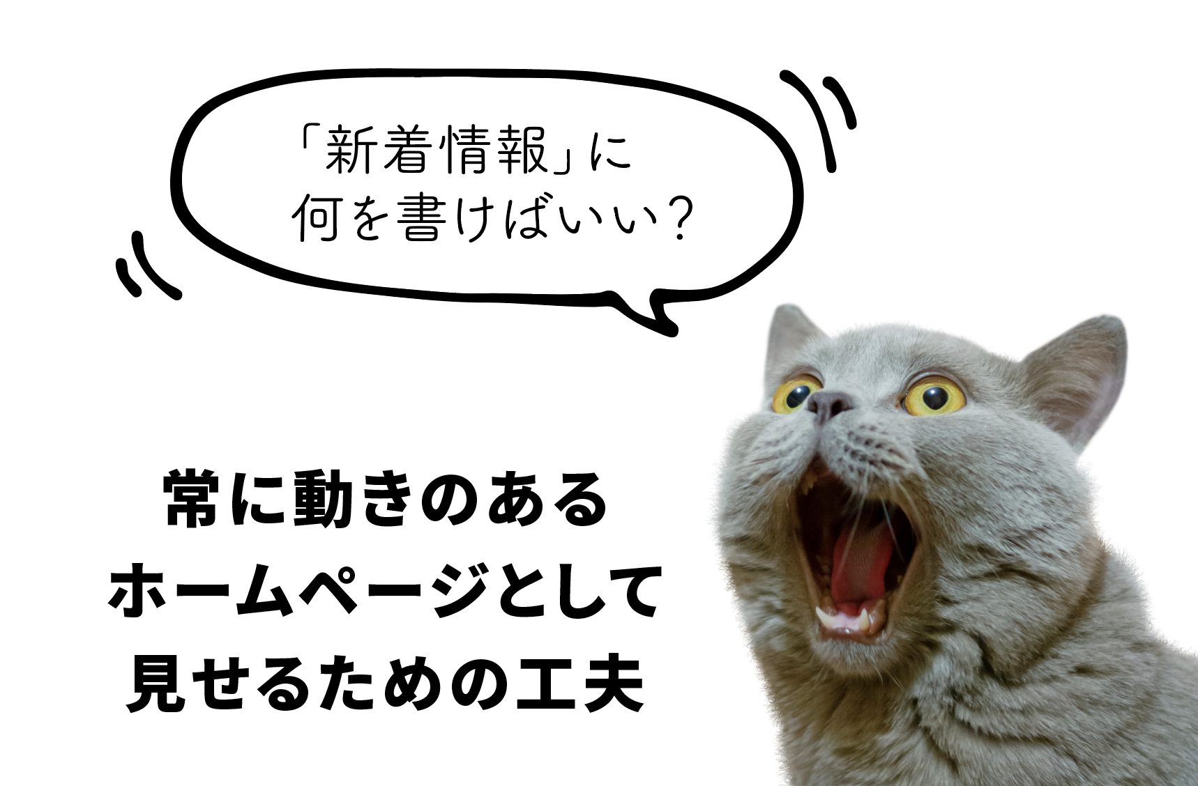 「新着情報」に何を書けばいい？常に動きのあるホームページとして見せるための工夫