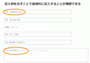 記入例を明示しているフォームの例