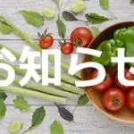 【お知らせ】お盆期間中は通常営業いたします。