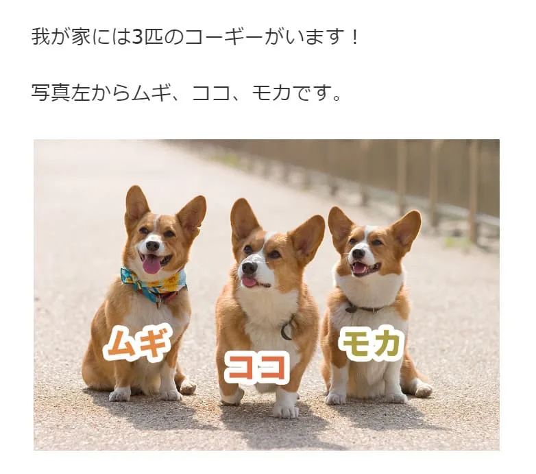 ブログのスクリーンショットを模した画像。
上に「我が家には3匹のコーギーがいます!写真左からムギ、ココ、モカです。」と書いてあり、下にコーギーが3匹並んで座っている写真が載っている。
それぞれの犬の名前が書きこまれており、左からムギ、ココ、モカと表記されている。