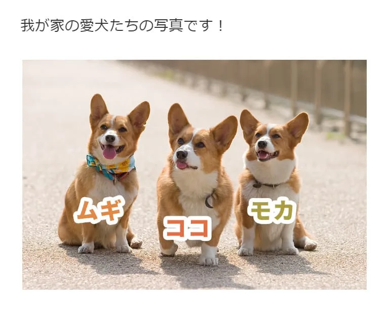 ブログのスクリーンショットを模した画像。
上に「我が家の愛犬たちの写真です!」と書いてあり、下にコーギーが3匹並んで座っている写真が載っている。
それぞれの犬の名前が書きこまれており、左からムギ、ココ、モカと表記されている。